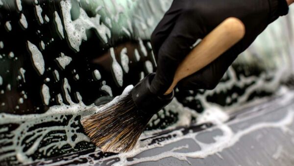 AUTO FINESSE – Hog Hair Brush x2