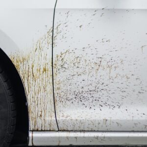 KOCH CHEMIE – Teerwäsche A – Tea – Bitumen & Teerverwijderaar