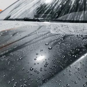 PURE:EST – P1 – Protection & Gloss Quick Coat