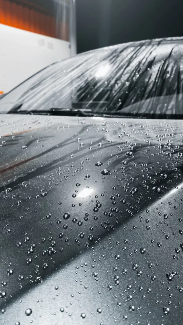 PURE:EST – P1 – Protection & Gloss Quick Coat