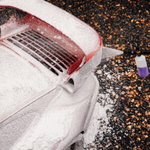 PURE:EST - A3 - Alkaline Snow Foam - Pre-Cleaner – Insect, Vuil & Wegfilm Verwijderaar