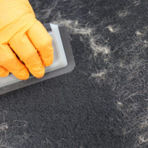 DETAIL FACTORY - Pet Hair Removal Card
