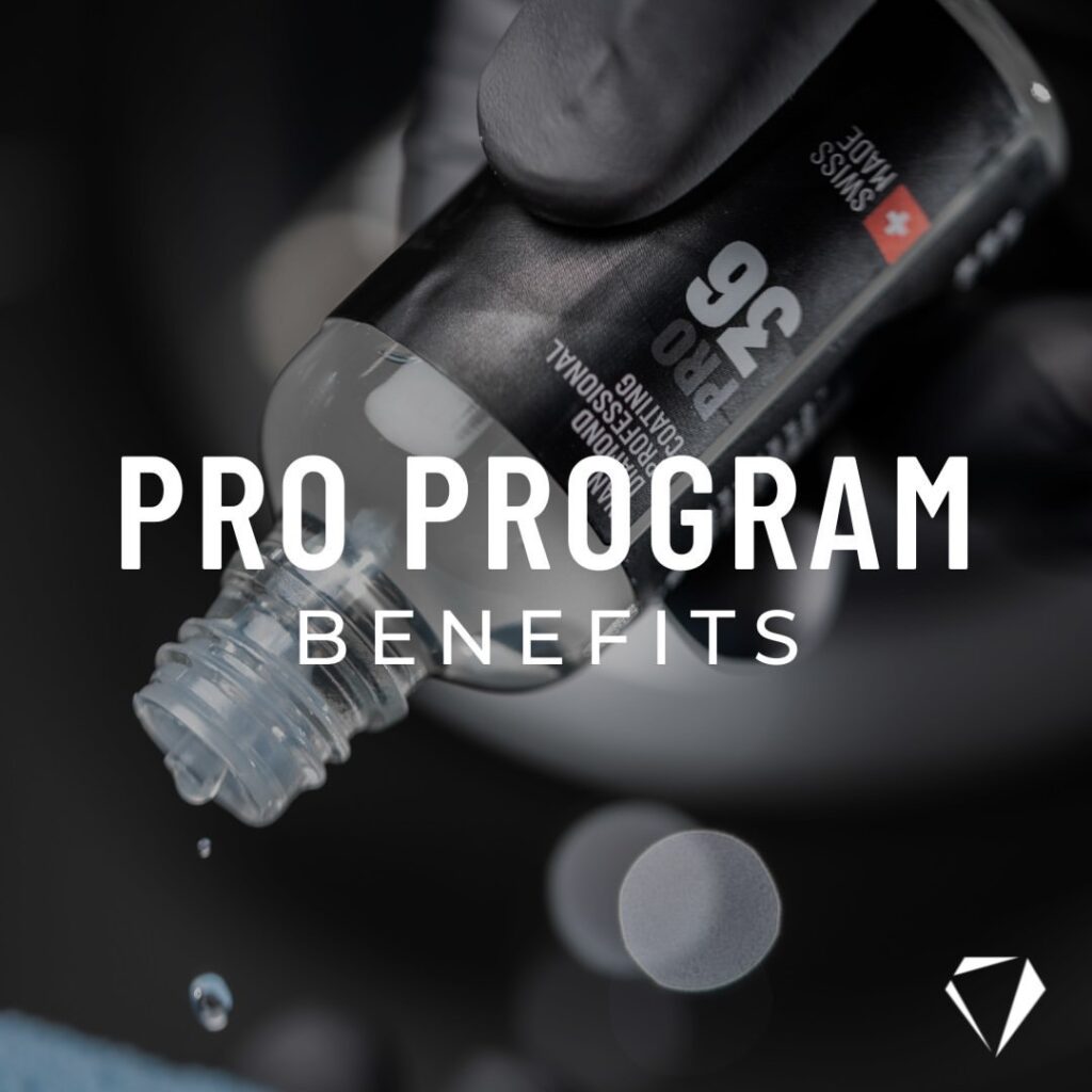 DIAMOND PROTECH - PRO Program - Physical Certification